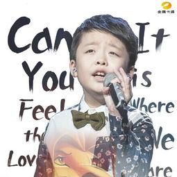 李成宇我的中国心视频