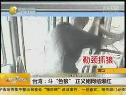 色大姐色视频,一场视觉与情感的盛宴