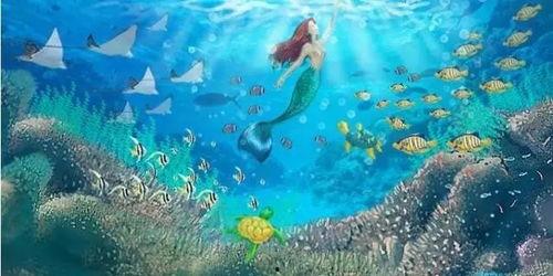 美人鱼的故事视频,梦幻海洋的传说与奇遇
